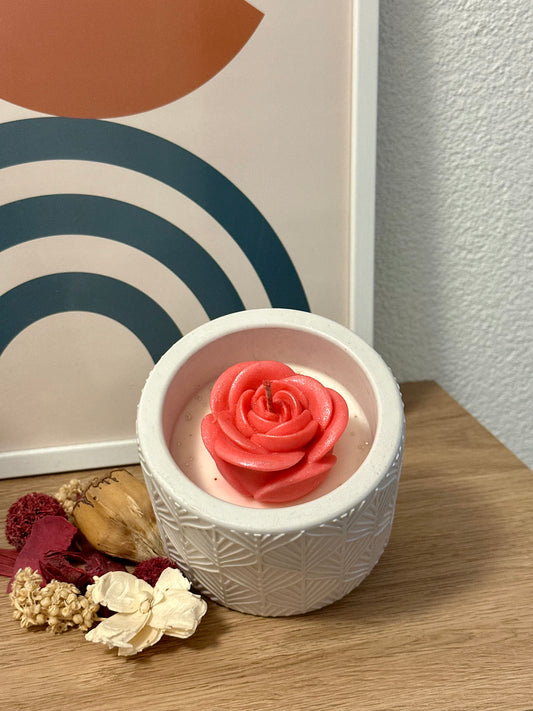 Rose Bloom